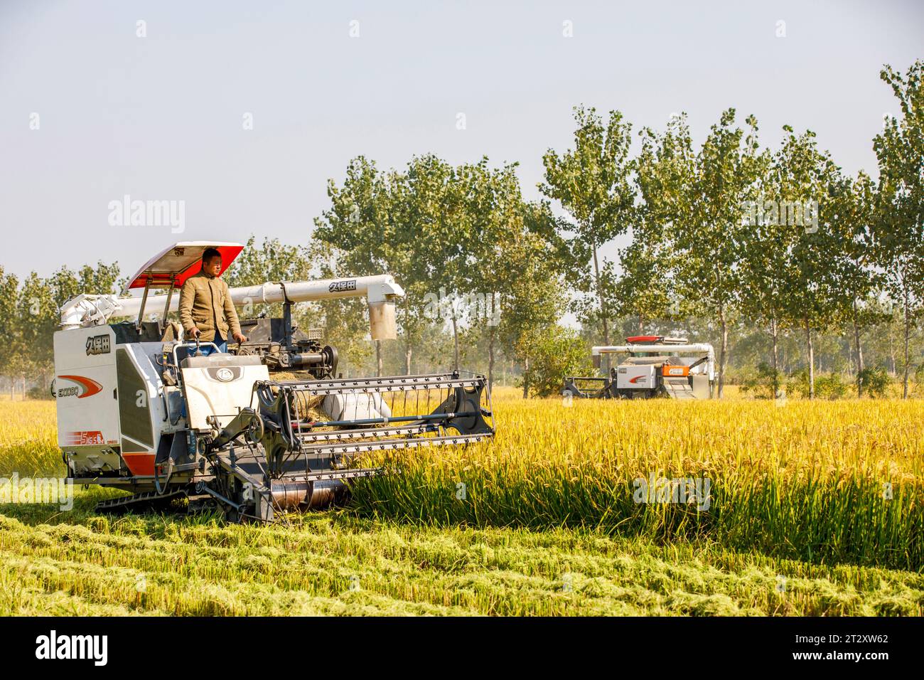 Machines harvesting rice field hi-res stock photography and images - Alamy