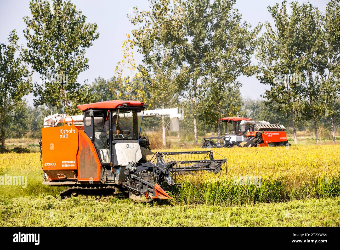 Machines harvesting rice field hi-res stock photography and images - Alamy