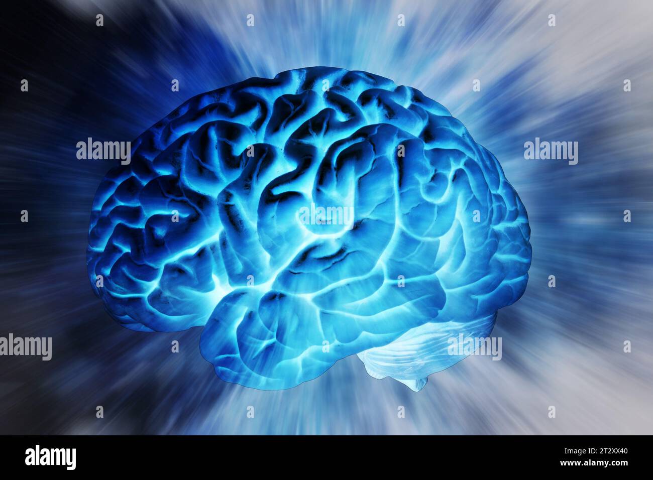 Intellect Brain human brain as concept for neurology, medicine and intellect Stock ...