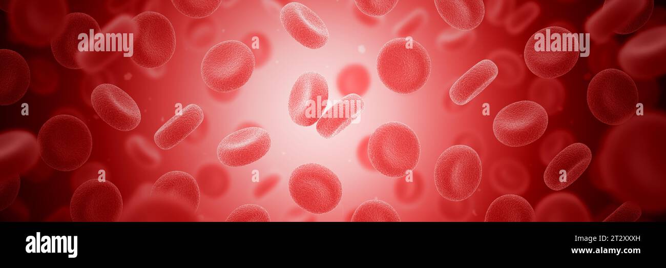 Human red blood cells. Erythrocytes. Circulatory system. Macro. 3d illustration. Stock Photo