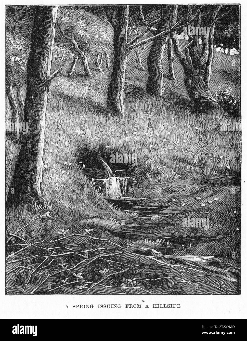 Engraved illustration from a geography book showing a spring issuing from a hillside, circa 1900 Stock Photo