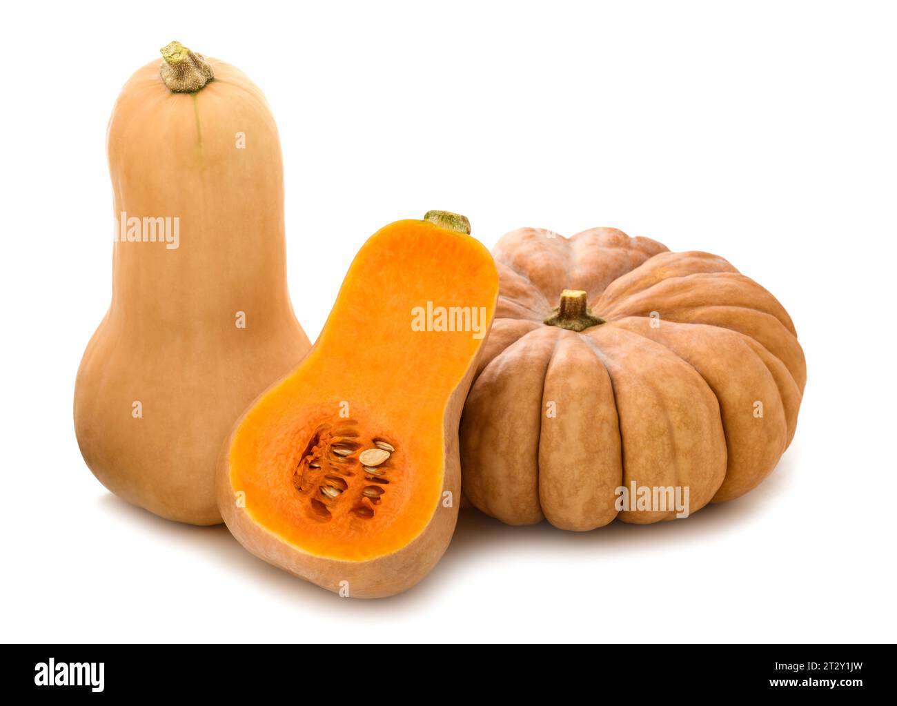 Pumpkins group isolated on white background Stock Photo