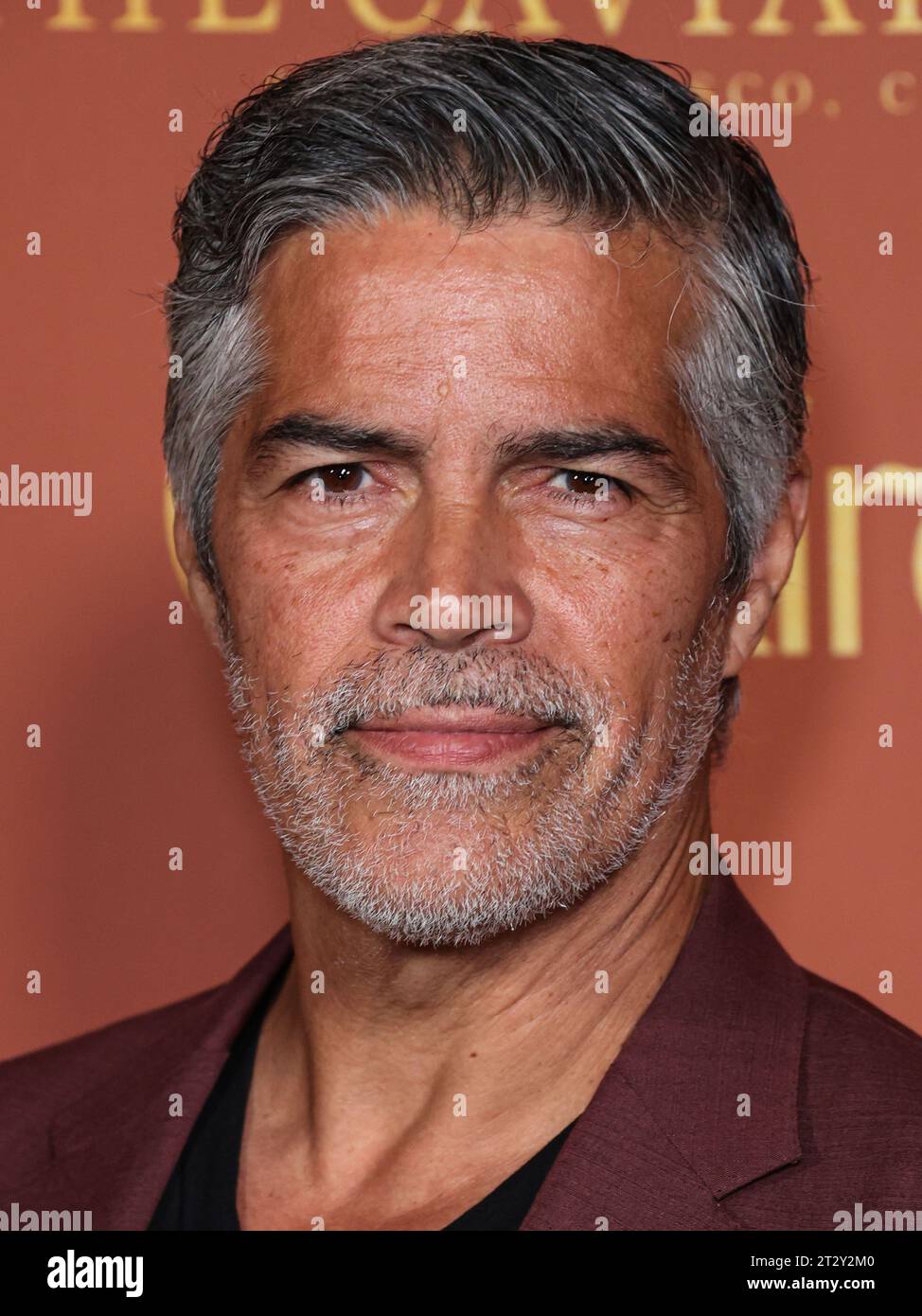 HANCOCK PARK, LOS ANGELES, CALIFORNIA, USA OCTOBER 21 American actor