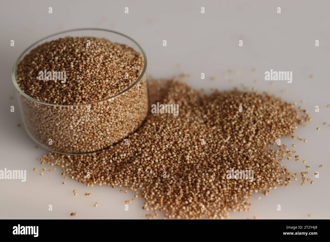 Closeup of kodo millet, a healthy grain, in a glass bowl filled to the brim, highlighting their wholesome and nutritious appeal. Perfect for food and Stock Photo