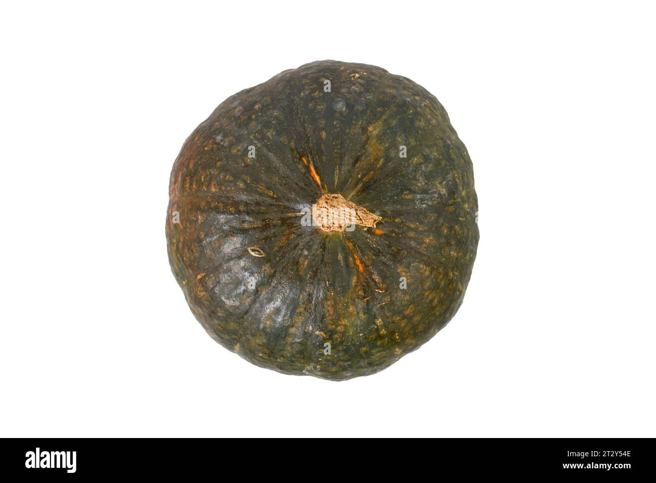Top view of green Japanese Kabocha squash on white background Stock Photo