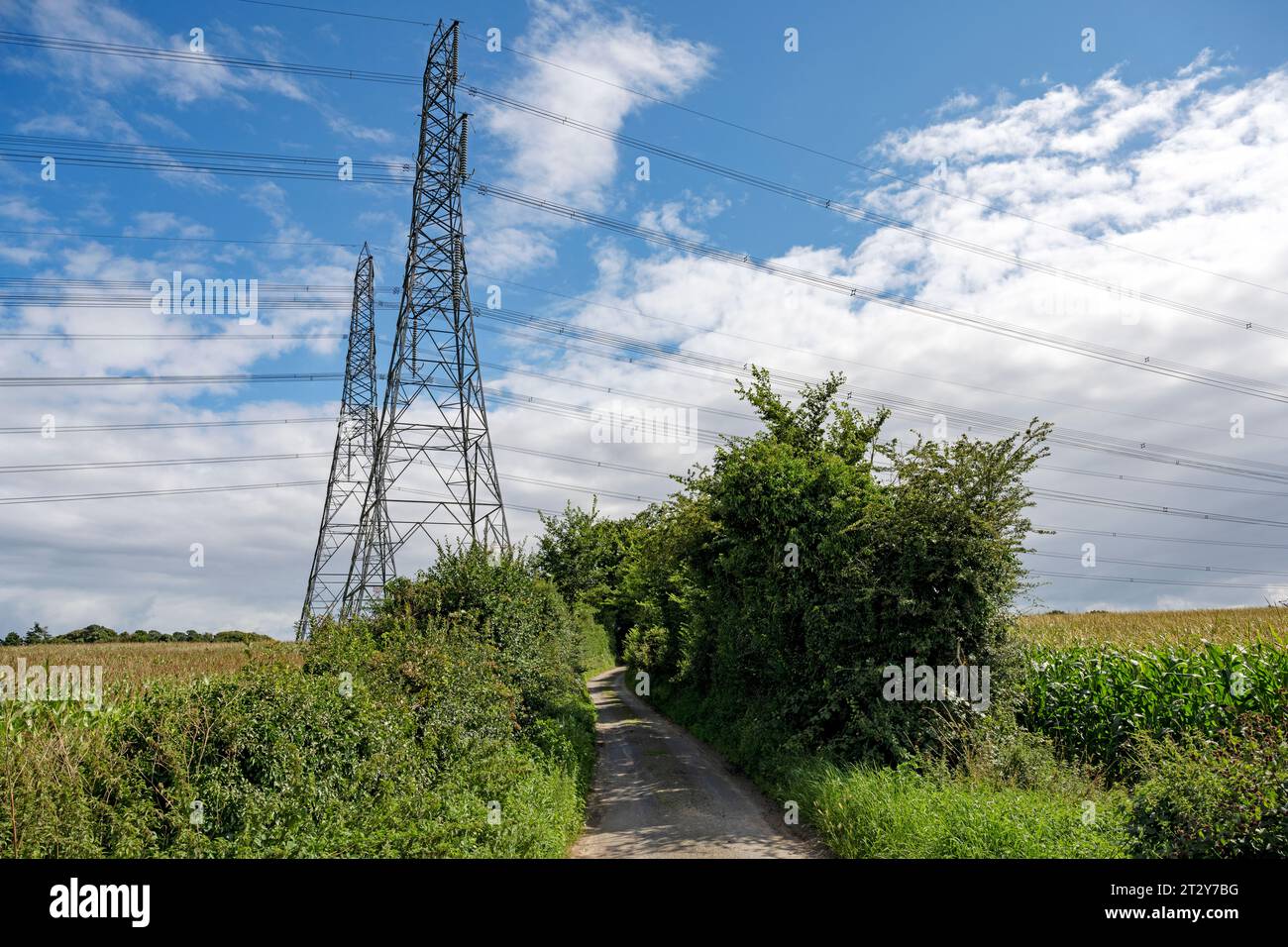 High voltage electricity pylons Gromford Suffolk England Stock Photo
