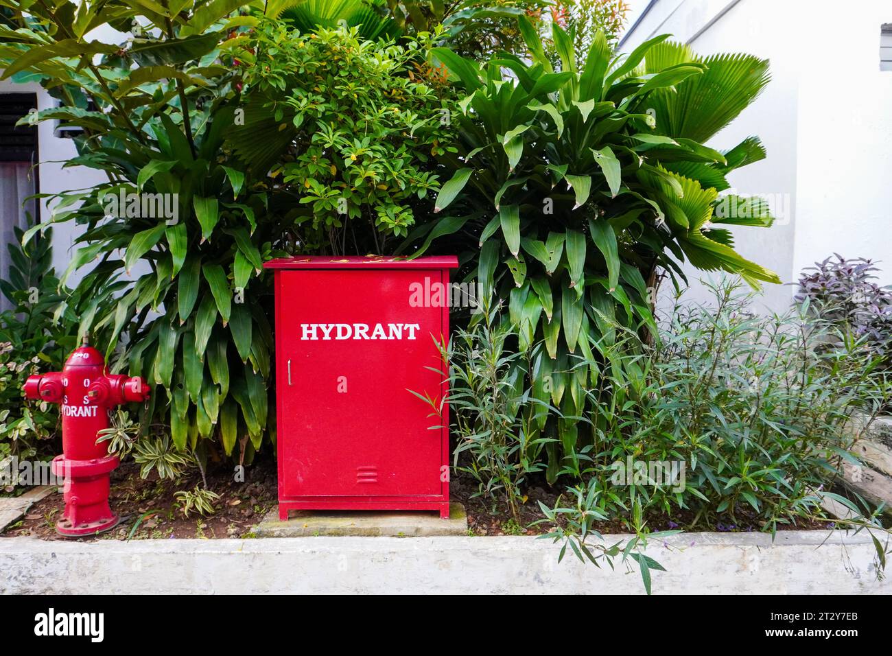 a red fire hydrant box and firefighting installation placed in a residential garden, surrounded by beautiful green plants Stock Photo