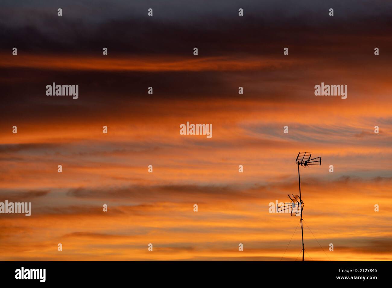 a sunset cloudscape image filled with golden clouds and a single television antenna silhouette. Stock Photo