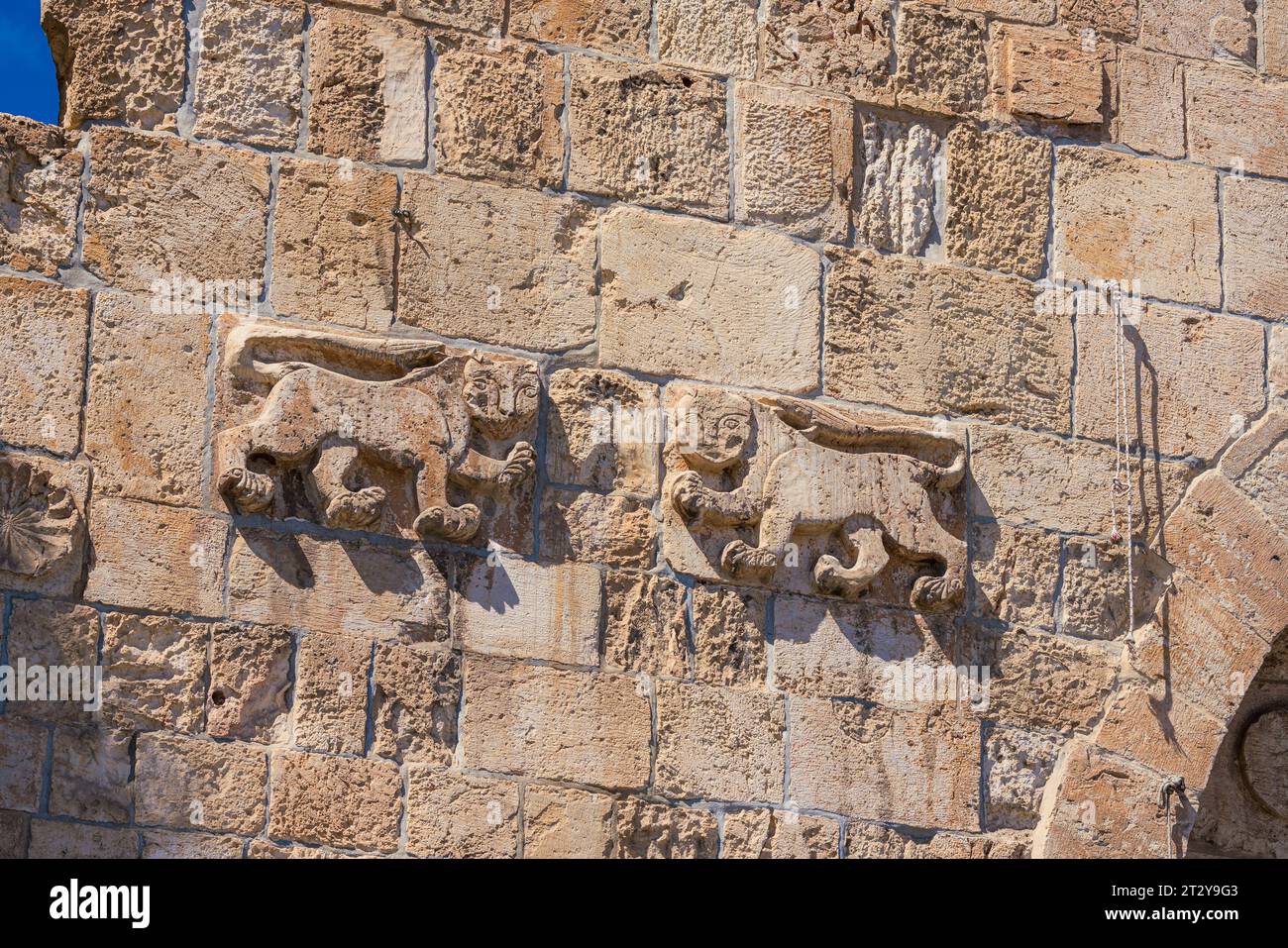 Lions' Gate is one of the seven entrances to the Old City of Jerusalem. It is named after the Lions carved on its wall. Stock Photo