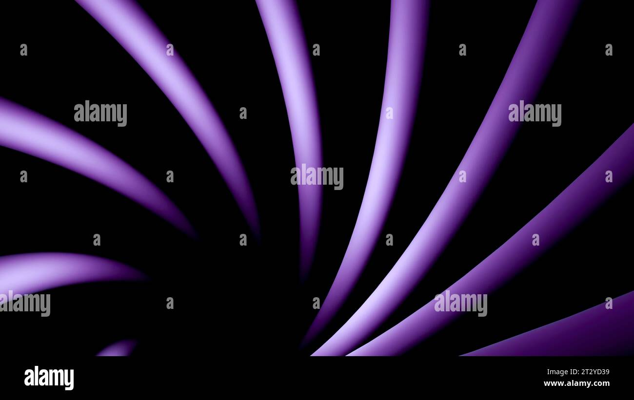 Black background with purple ribbons. Design. Purple lines rotating in ...