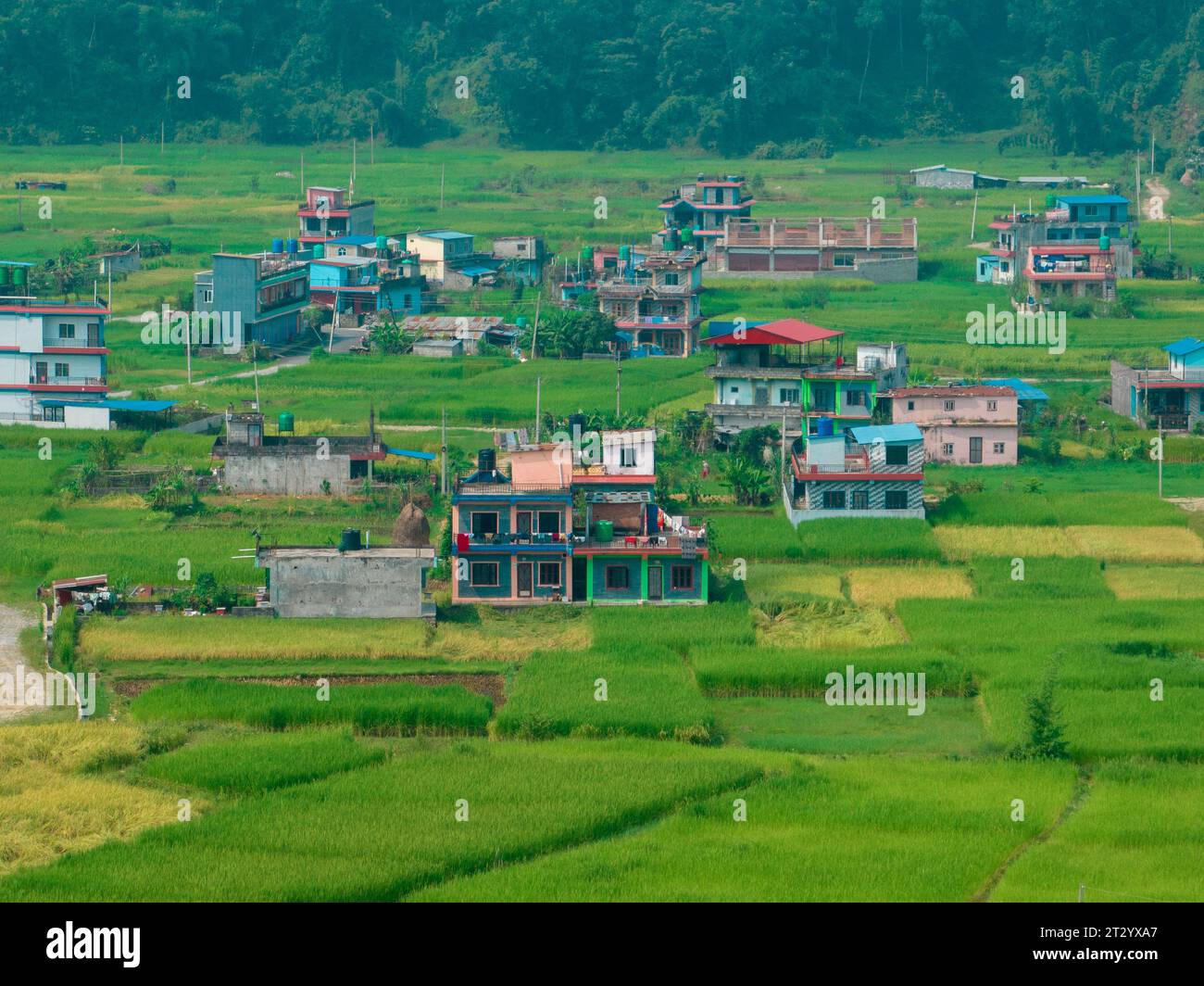 Aerial view of a nepalese rural landscape near Lake Bagnes, rice fields and houses, agricultural work. Lekhnath, Pokhara. Nepal. 10-7-2023 Stock Photo