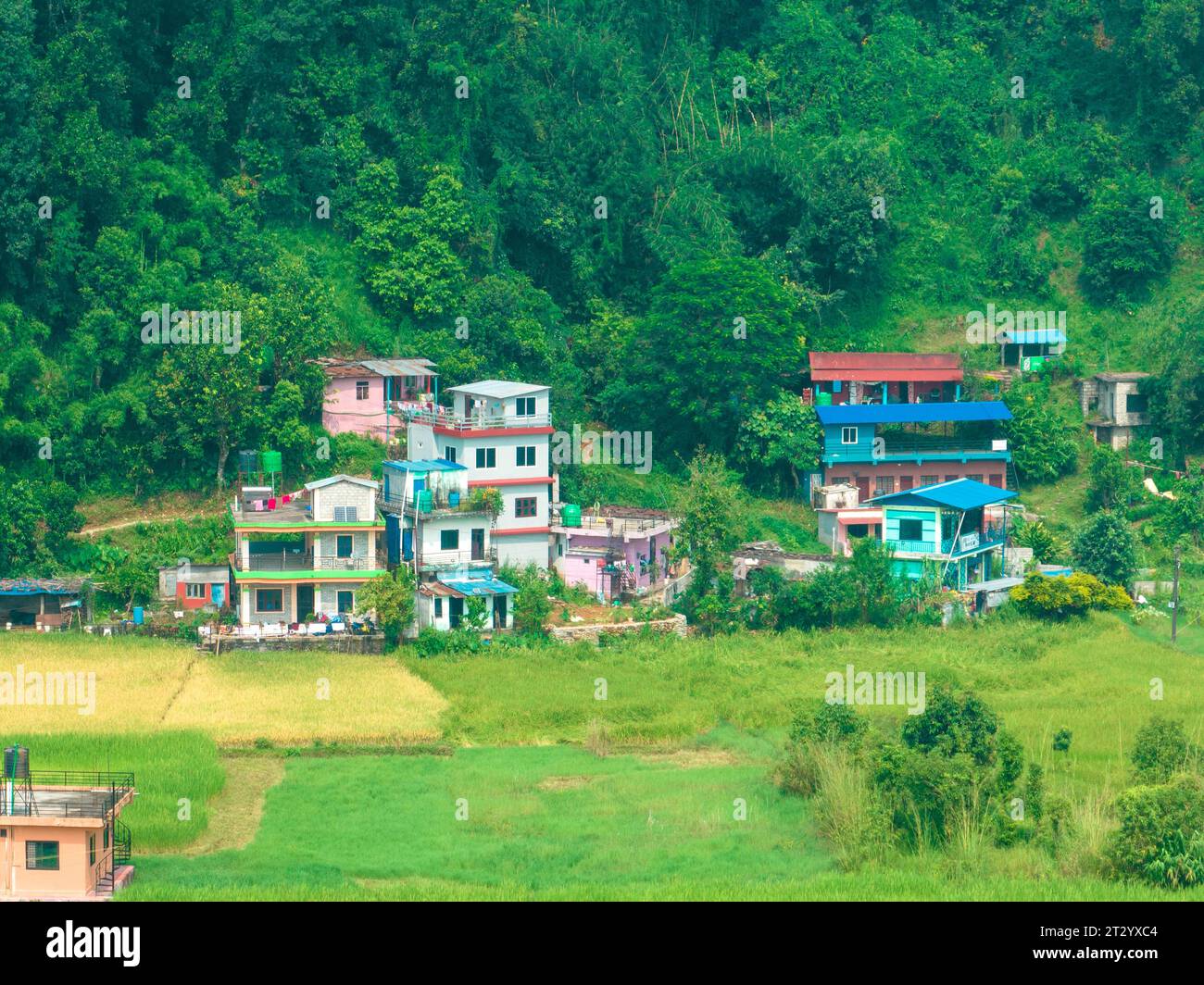 Aerial view of a nepalese rural landscape near Lake Bagnes, rice fields and houses, agricultural work. Lekhnath, Pokhara. Nepal. 10-7-2023 Stock Photo