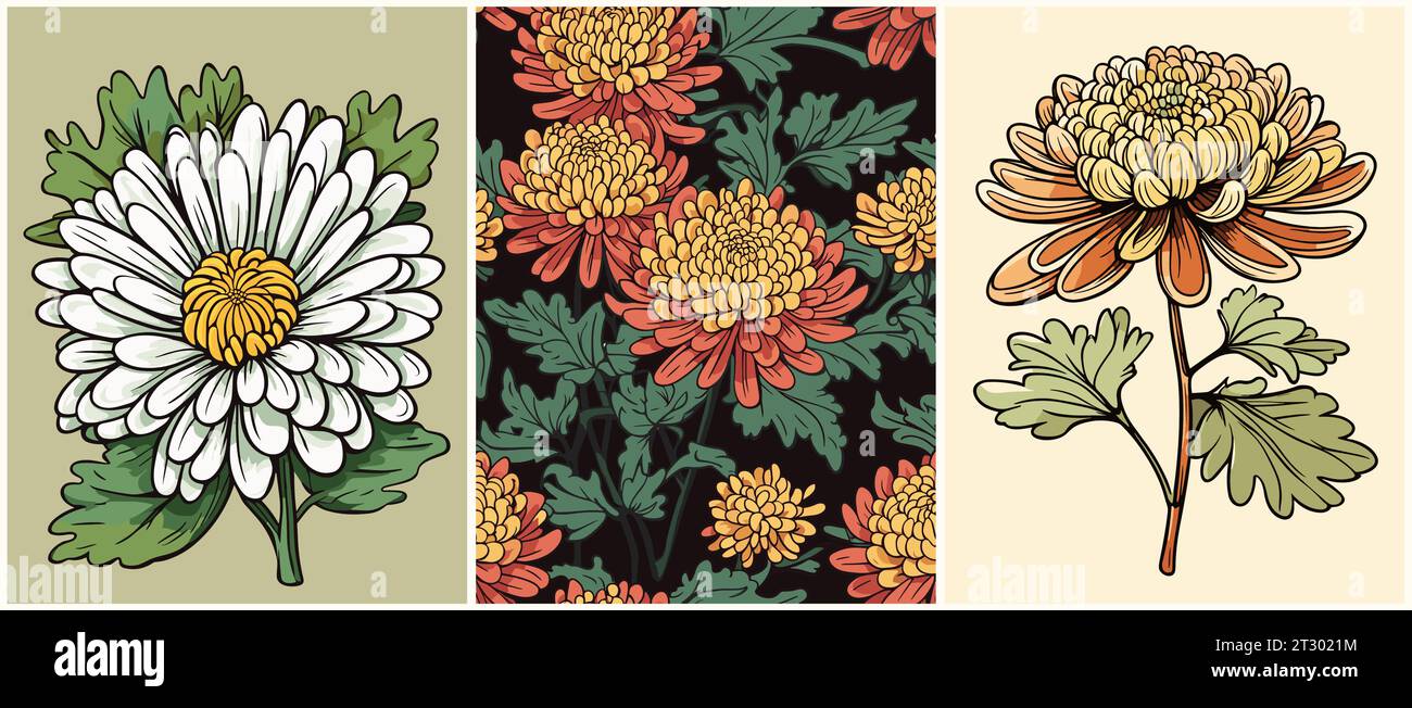 Set of Chrysanthemum flower background vector art. Stock Vector