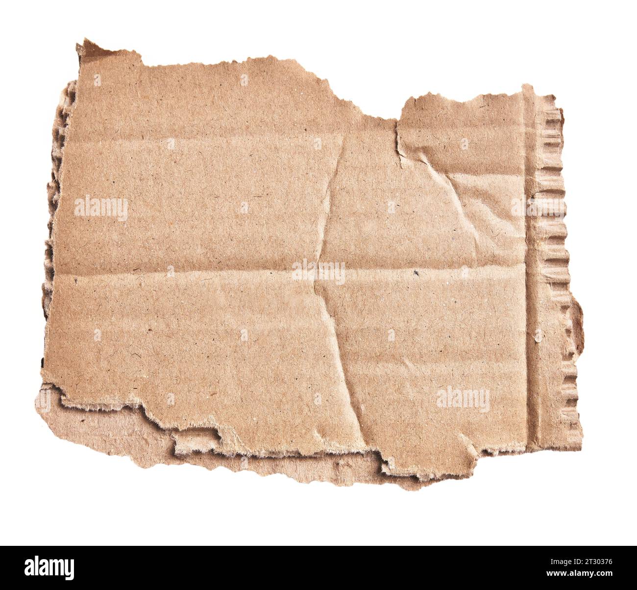 One ripped piece of cardboard material over isolated white background ...