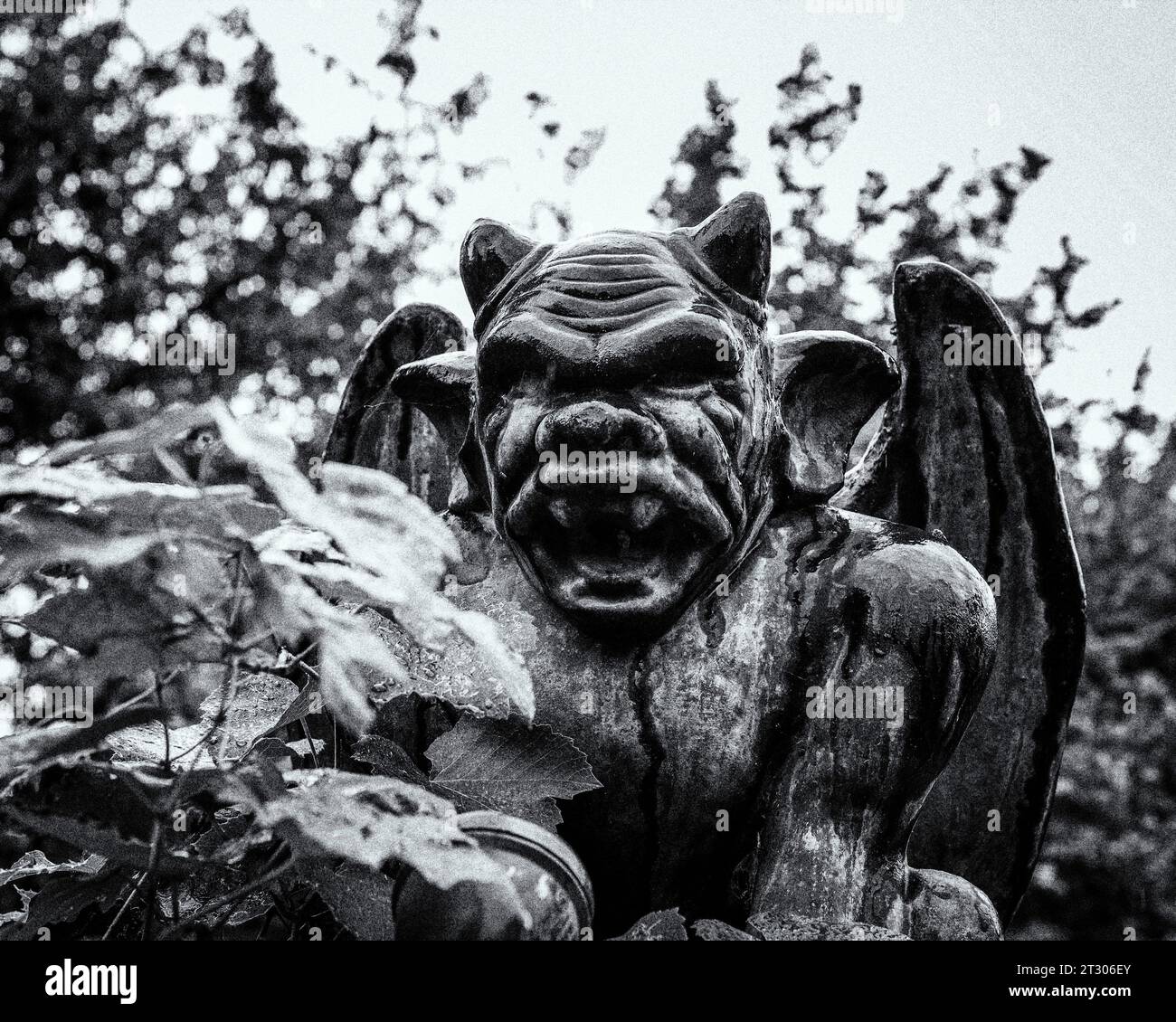 Close up of a gargoyle statue Stock Photo Alamy