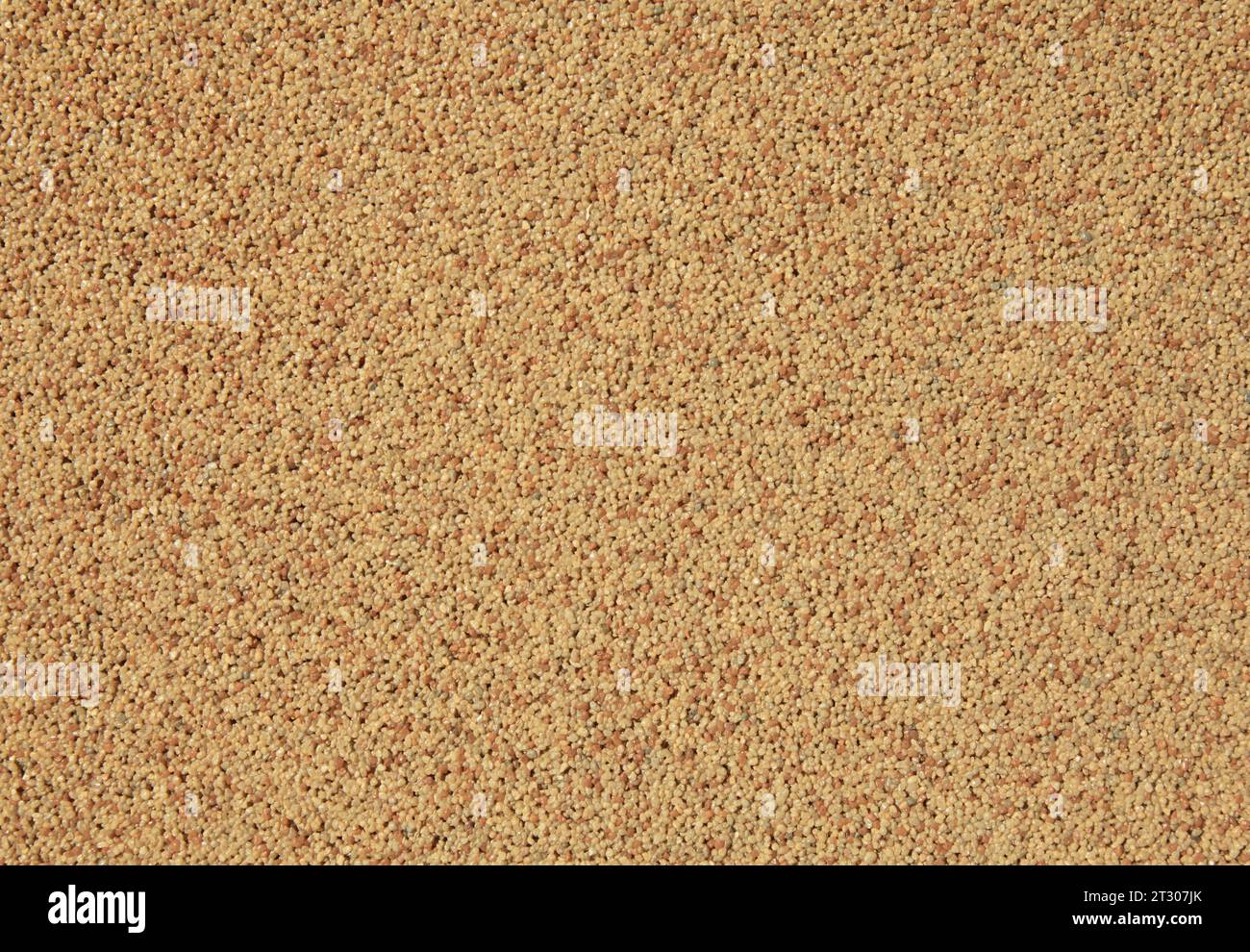 Beige wall surface with a yellowish tint. Abstract, coarse-grained, two-component plaster and its background. Light brown surface and backdrop Stock Photo
