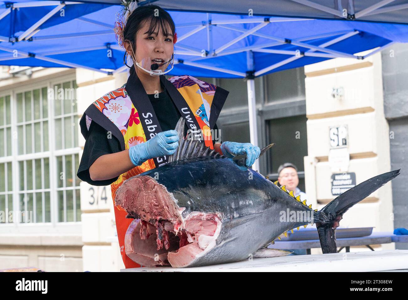 pacific girls 308 Sabaki hi-res stock photography and images - Alamy