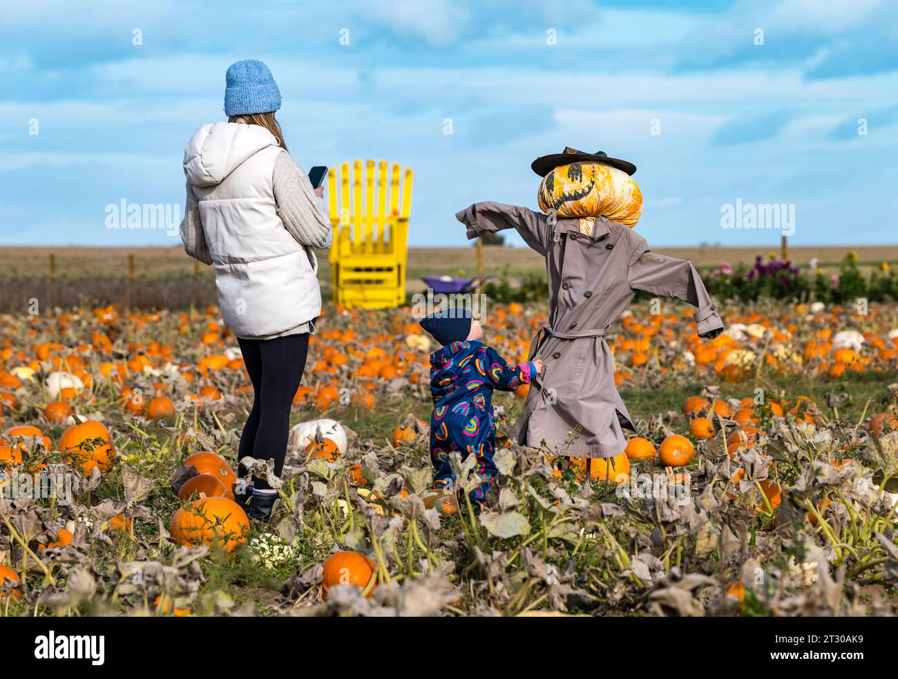 Mother and child with a quirky scarecrow in pumpkin patch field, Kilduff Farm, East Lothian, Scotland, UK Stock Photo