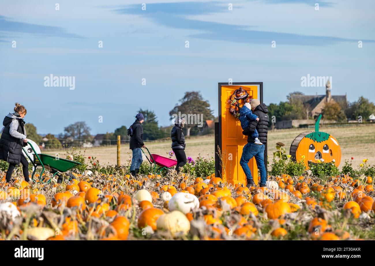 Visitors enjoy the quirky objects in the pumpkin field, Kilduff Farm pumpkin patch, East Lothian, Scotland, UK Stock Photo