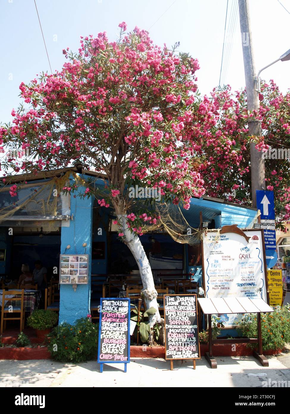 The Dolphin Restaurant Roda Corfu Greece 2009 Stock Photo Alamy The Dolphin Restaurant Roda Corfu Greece 2009 Stock Photo Alamy