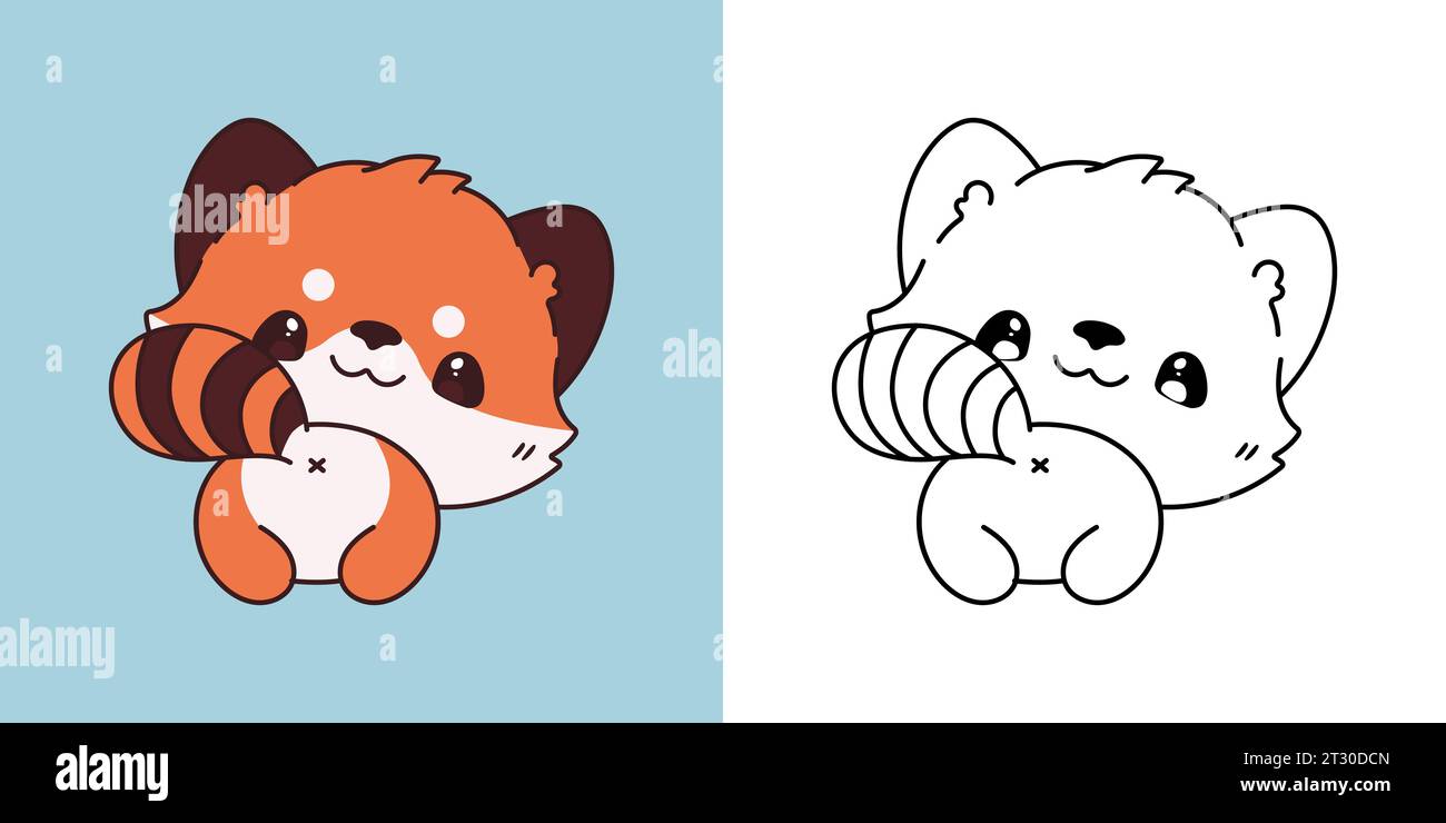 Set Clipart Red Panda Coloring Page and Colored Illustration. Kawaii