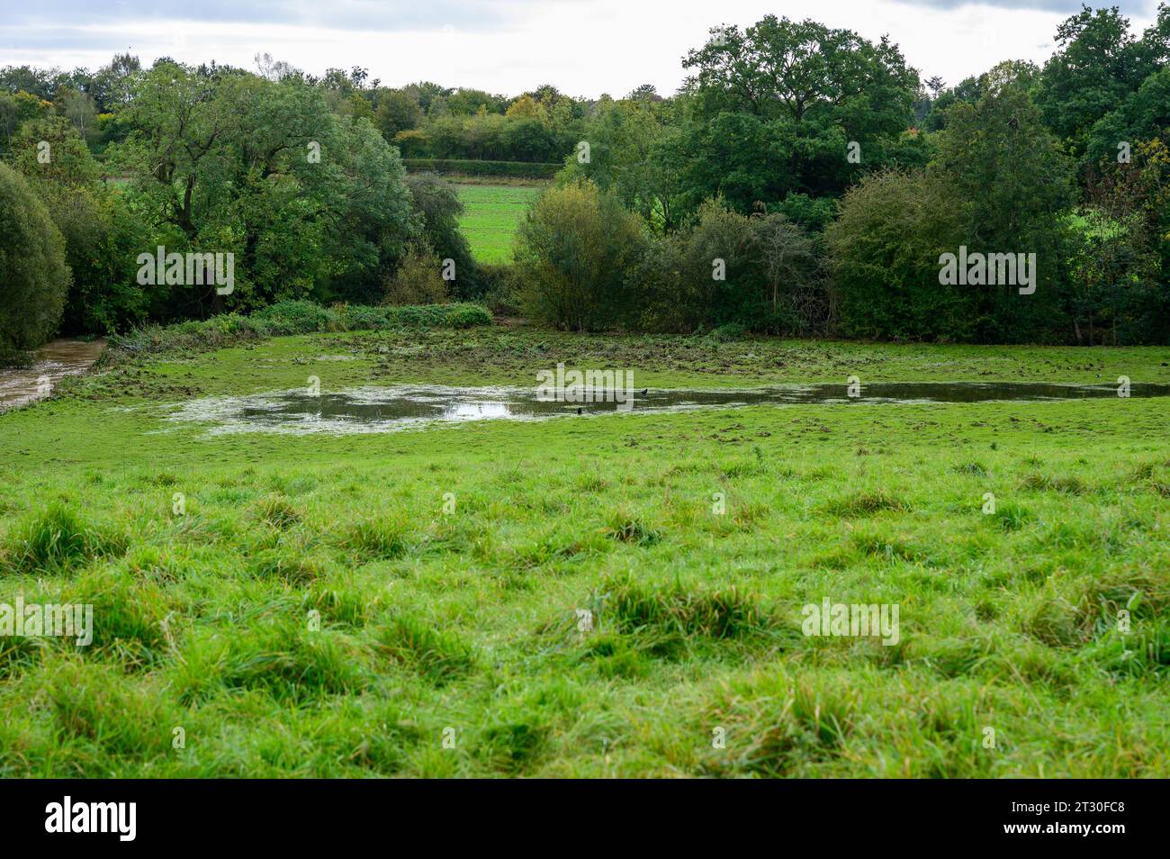 Flood water lying on a previously flooded field next to a swollen river ...