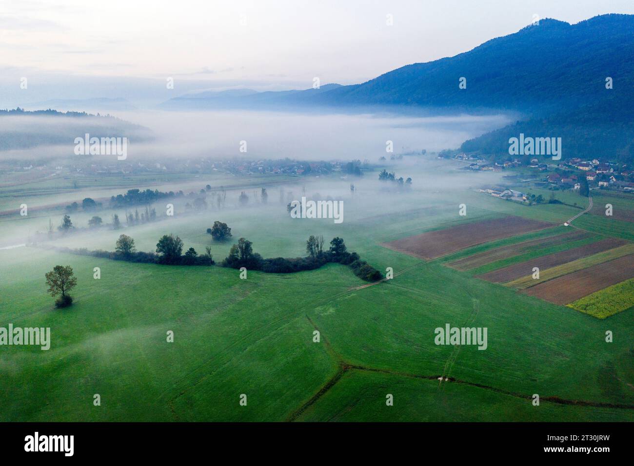 Misty fields near Krka river and Kocevski rog forest on a misty summer morning near Dolenjske toplice spa town, Slovenia Stock Photo