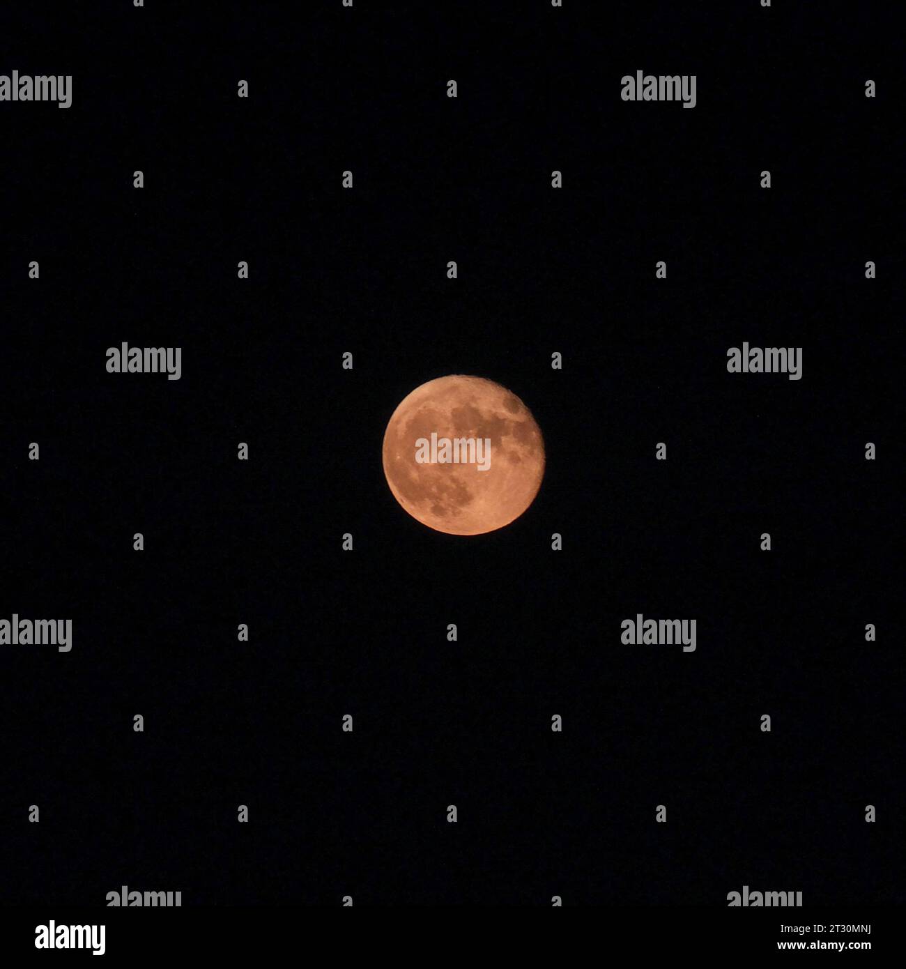Almost full moon on black sky with copy space. Stock Photo