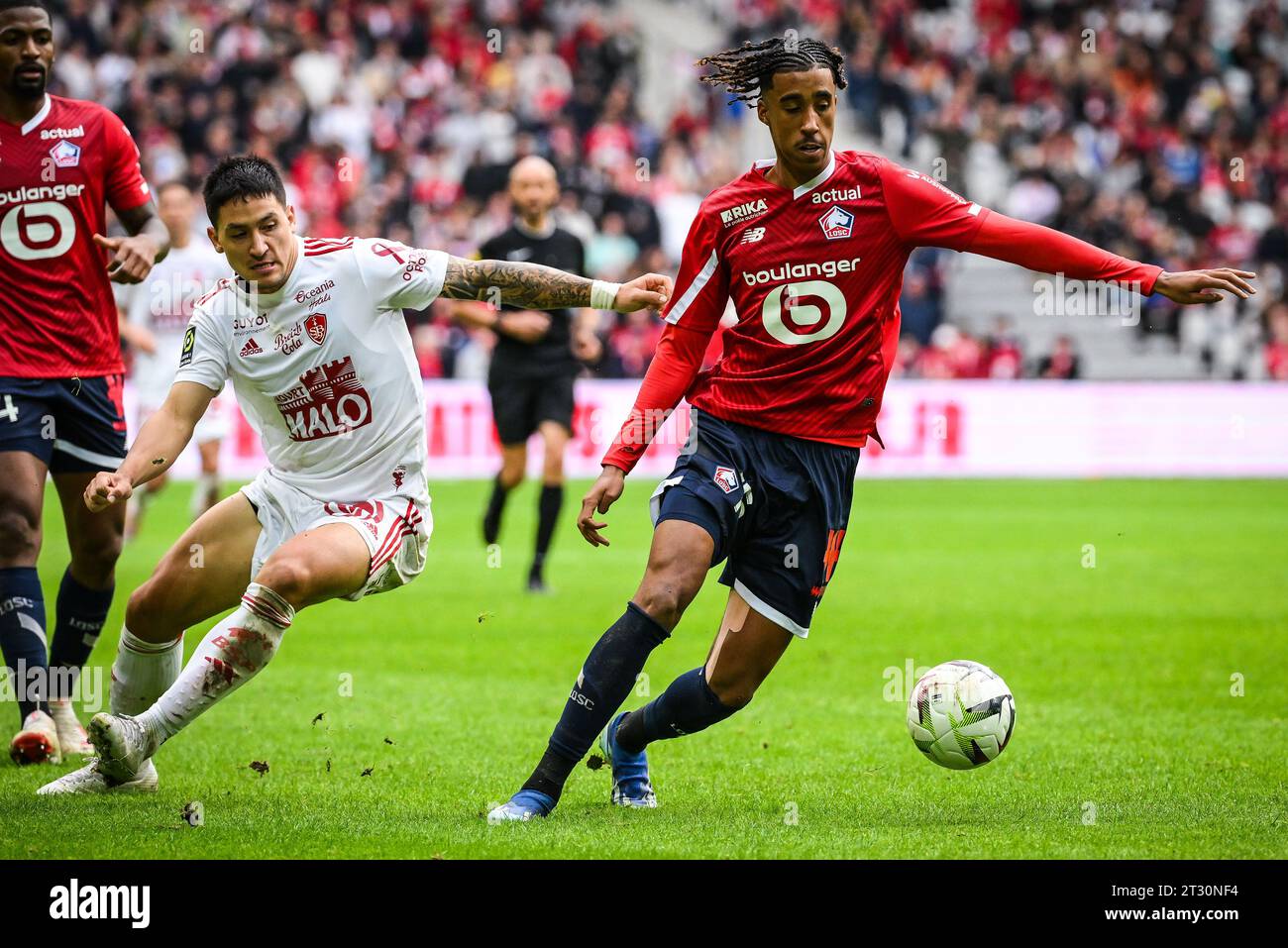 Martin SATRIANO of Brest and Leny YORO of Lille during the French championship Ligue 1 football match between Losc Lille and Stade Brestois (Brest) on October 22, 2023 at Pierre Mauroy stadium in Villeneuve-d'Ascq near Lille, France Stock Photo