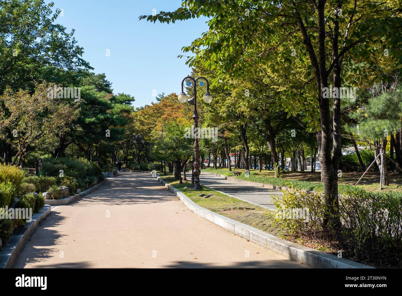 12 October 2022 - Seoul, South Korea : View of Yeouido Park, walkway with colorful leaves tree in autumn. Stock Photo