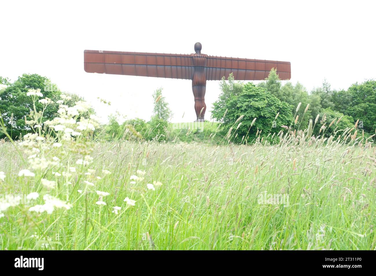 Angel of the north statue in Newcastle, UK, England Stock Photo Alamy