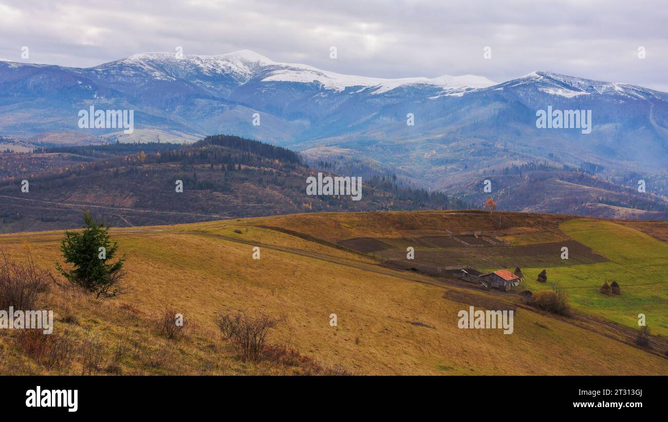 rural landscape of ukrainian carpathians. mountainous countryside scenery in late autumn. distant mountain range with snow capped tops beneath a cloud Stock Photo