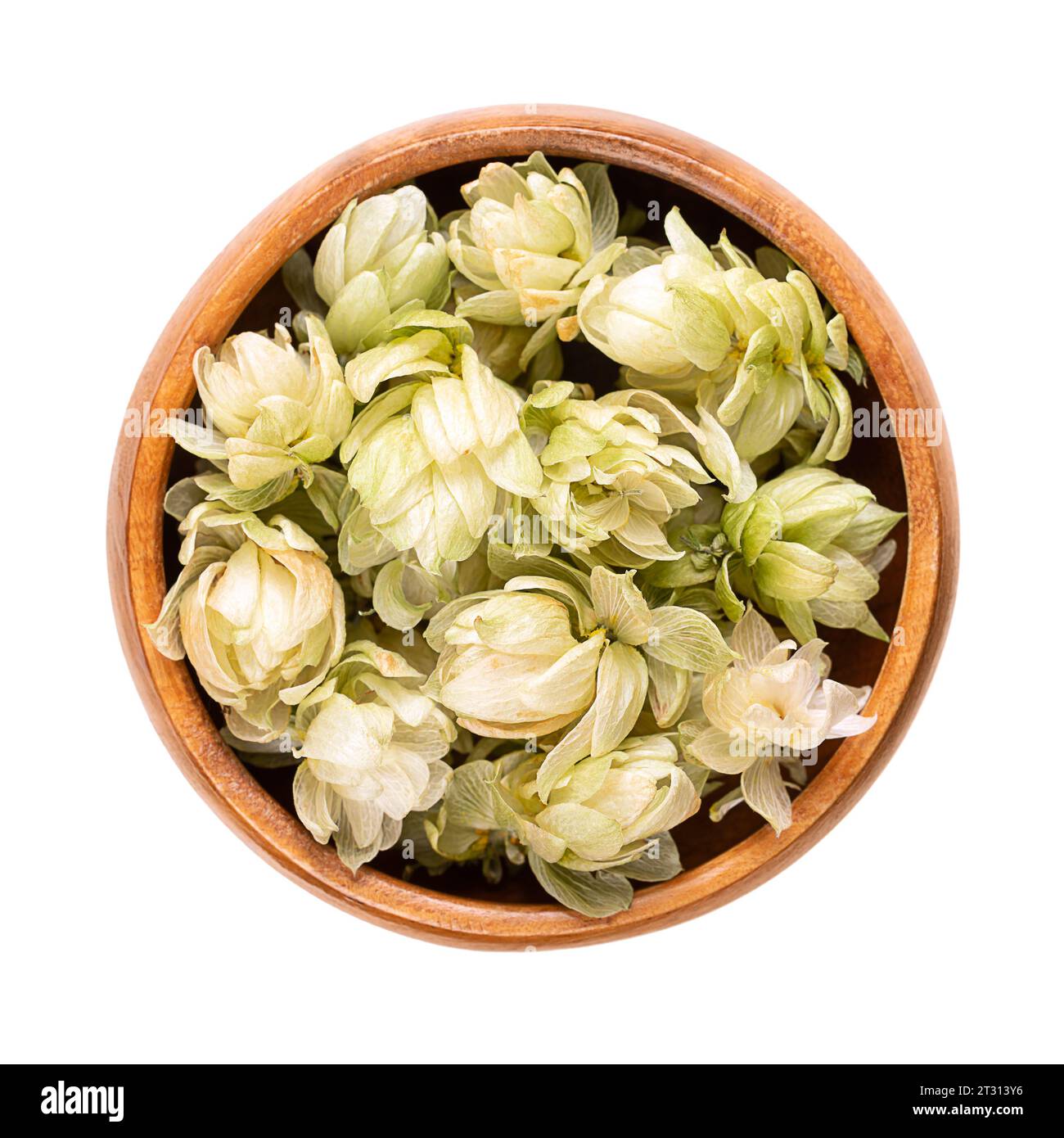 Hops, dried hop flowers in a wooden bowl. Humulus lupulus, member of the Cannabaceae family, used as a bittering, flavoring, and stability agent. Stock Photo