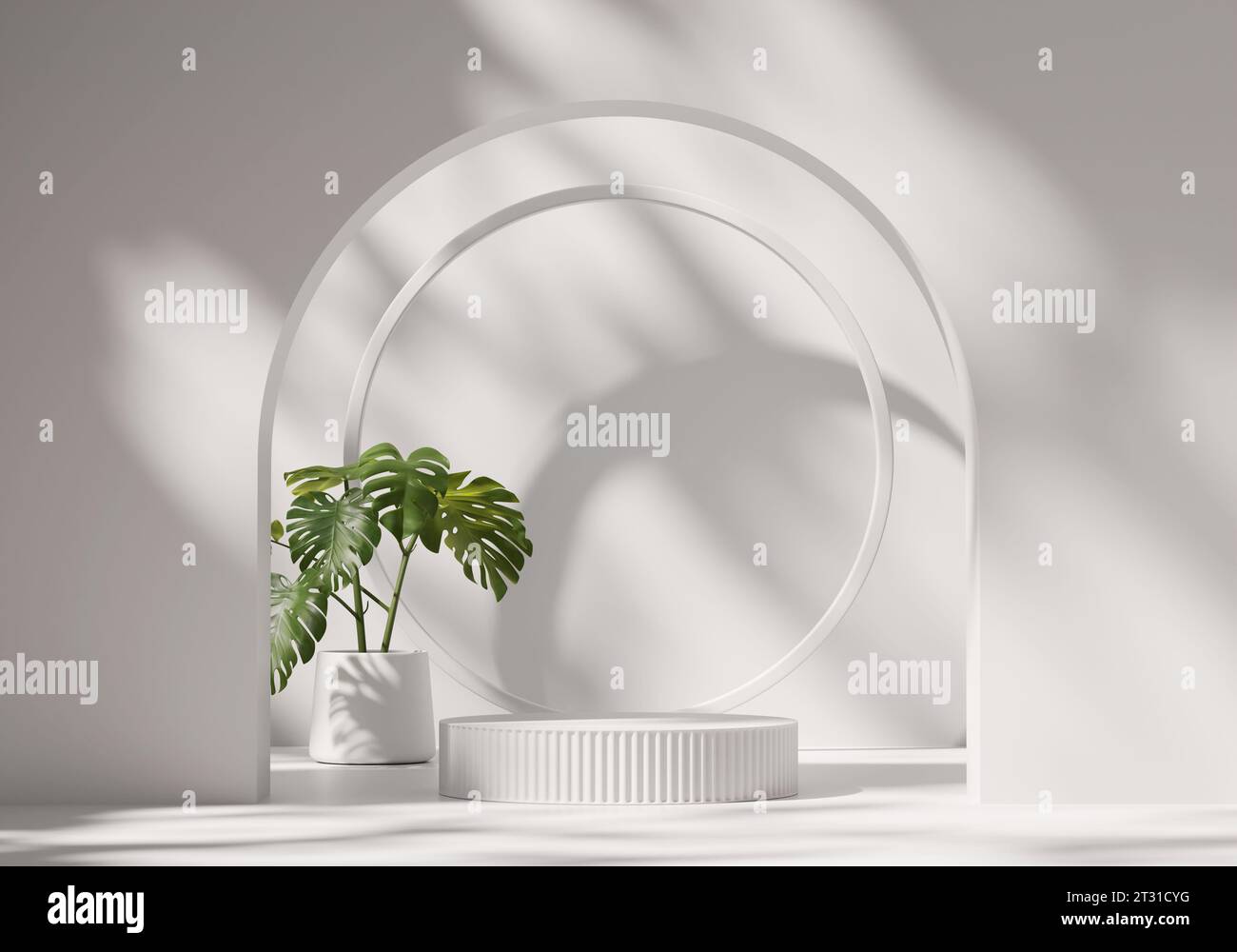 3D rendering platform podium with plant product presentation background ...