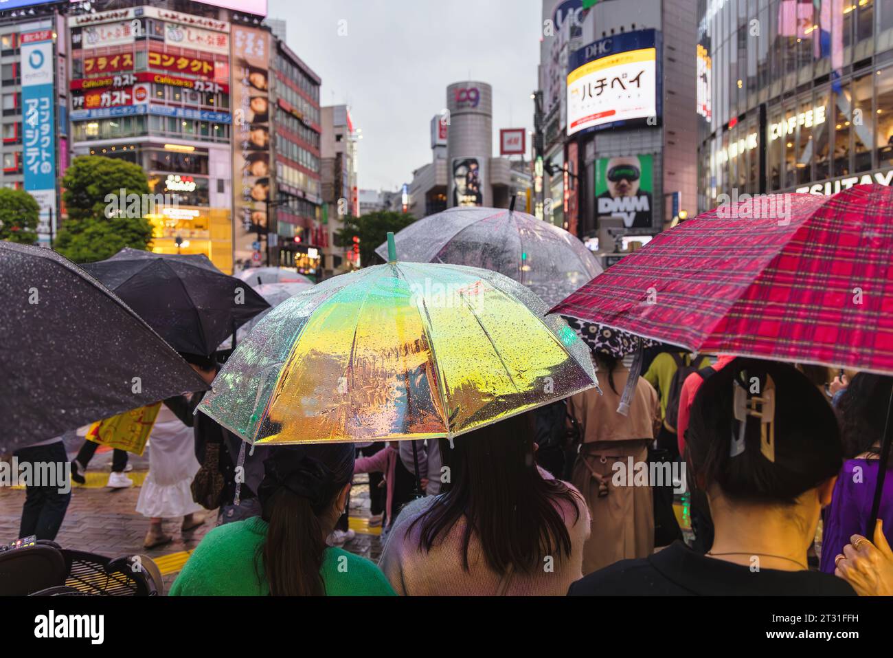 Tokyo, Japan - April 08, 2023: crowds with umbrellas at the Shibuya ...