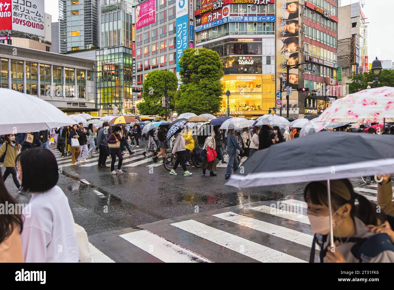 Tokyo, Japan - April 08, 2023: crowds with umbrellas at the Shibuya ...