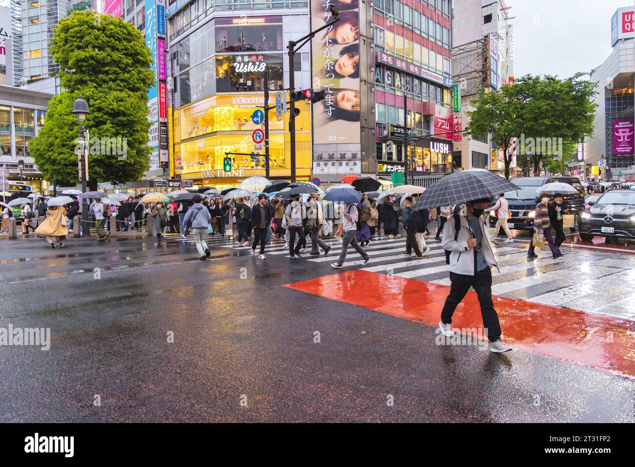 Tokyo, Japan - April 08, 2023: crowds with umbrellas at the Shibuya ...