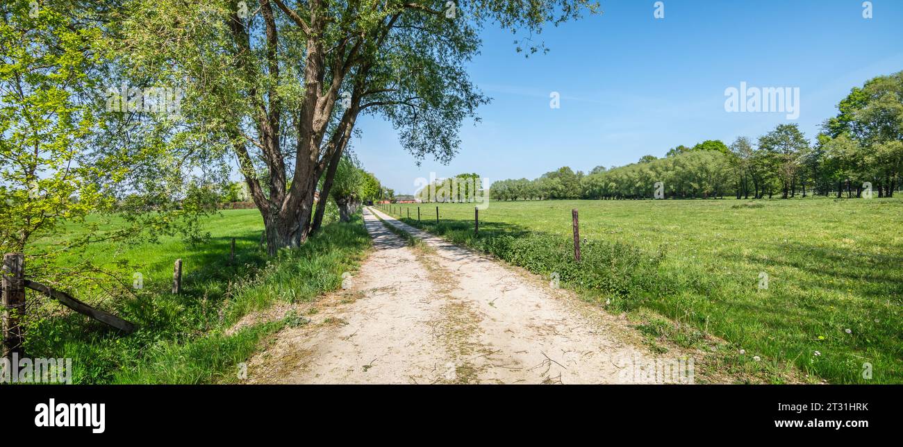 Panoramic landscape view with dirt country road near green meadow. Stock Photo