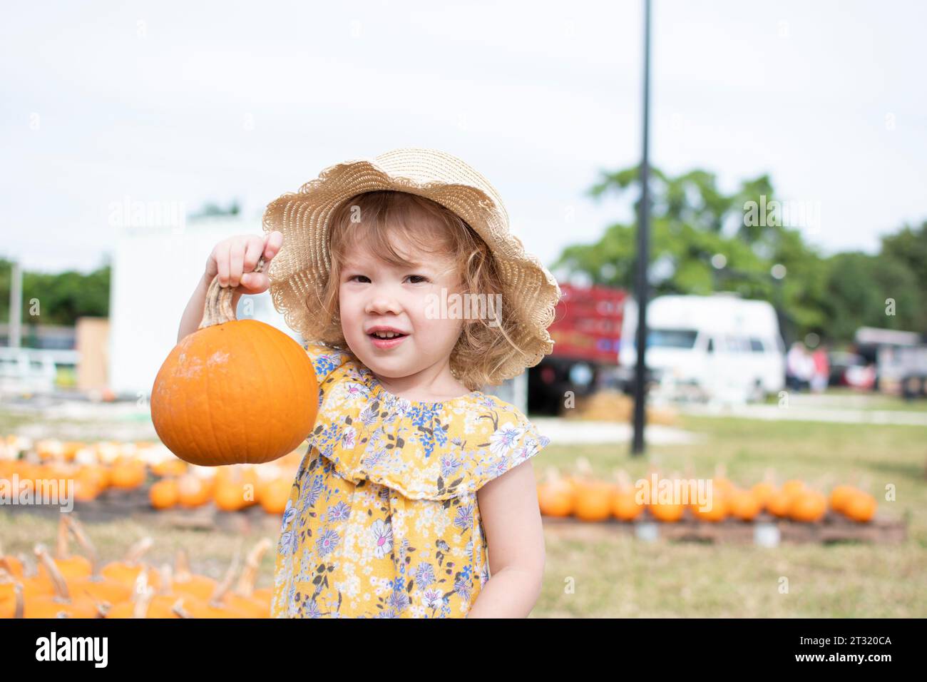 Little cute toddler girl is choosing pumpkin at the pumpkin patch. Fall kids activities. Fun on the farm with kids Stock Photo