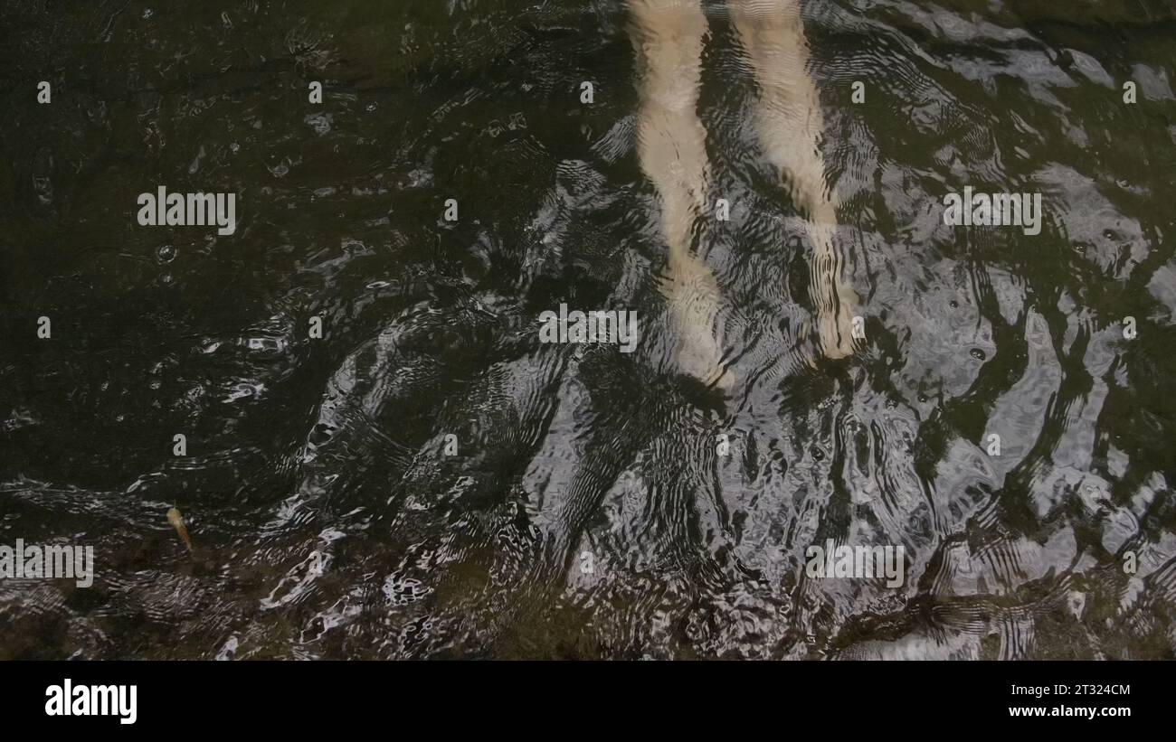 Feet in water with current. Creative. Slow motion shooting of water ripples with feet underwater in pond. Feet under water in natural pond in summer Stock Photo