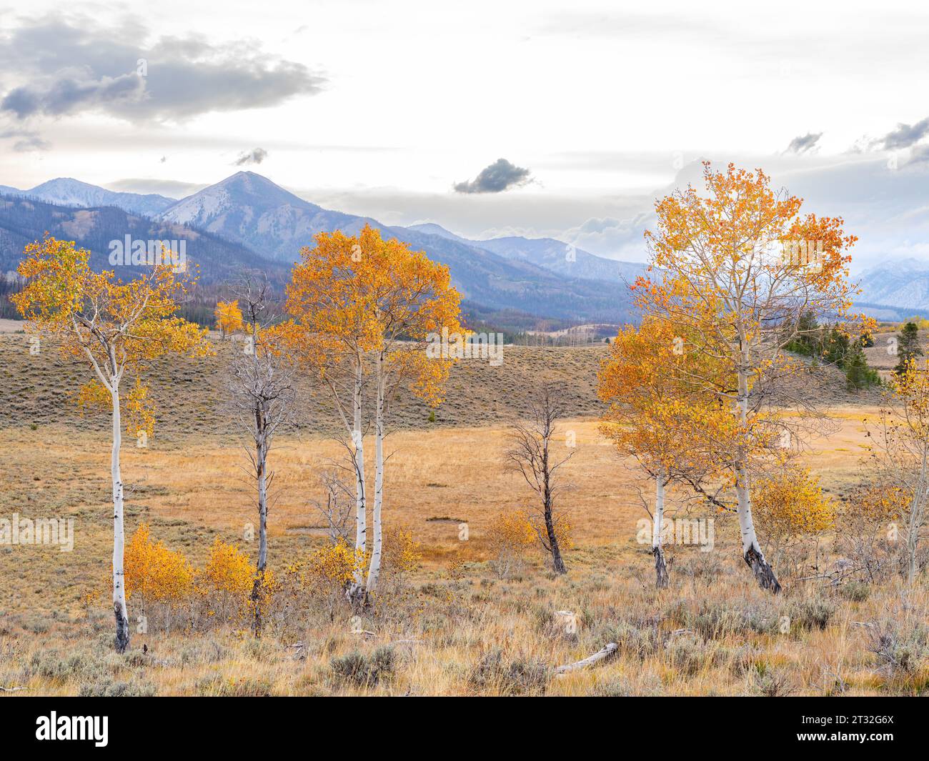 Sunset over the Sawtooth mountain in Idaho with fall trees Stock Photo