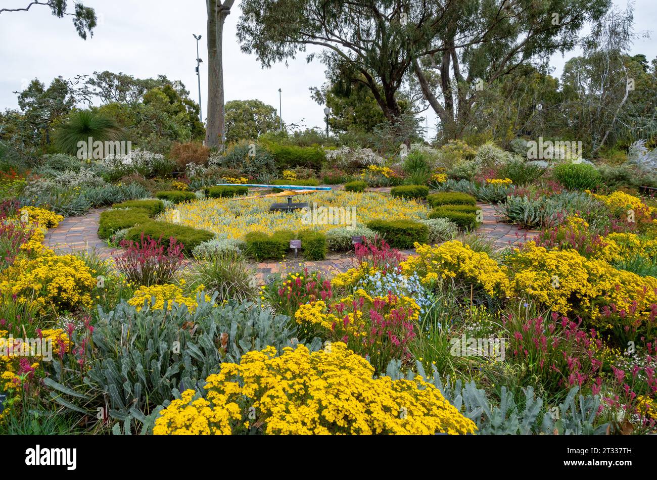 Colorful flowers in the garden of the Western Australia Botanic Garden