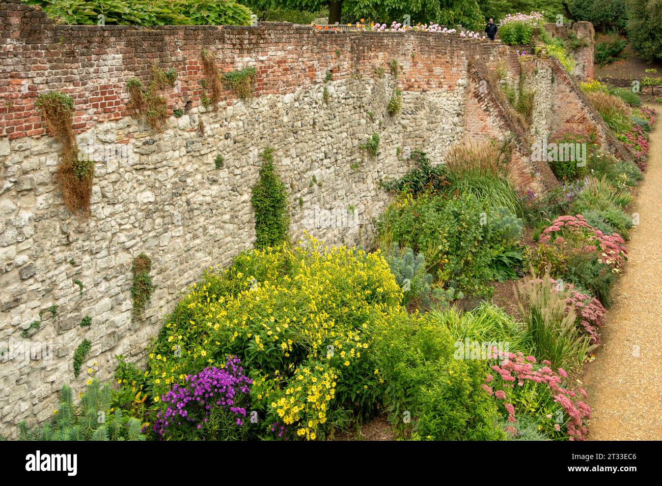 Colourful herbaceous border hi-res stock photography and images - Alamy
