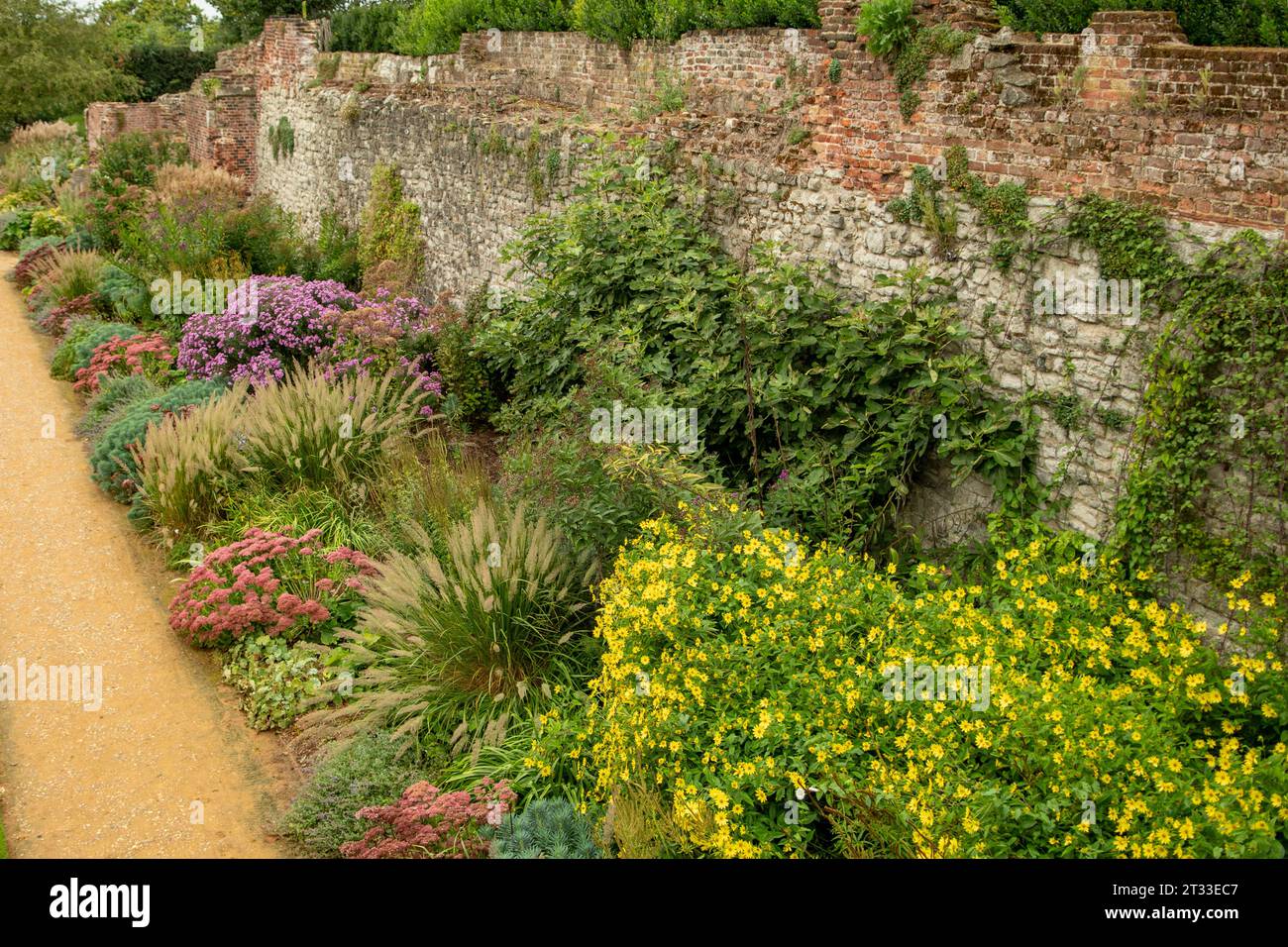 Herbaceous border hi-res stock photography and images - Alamy