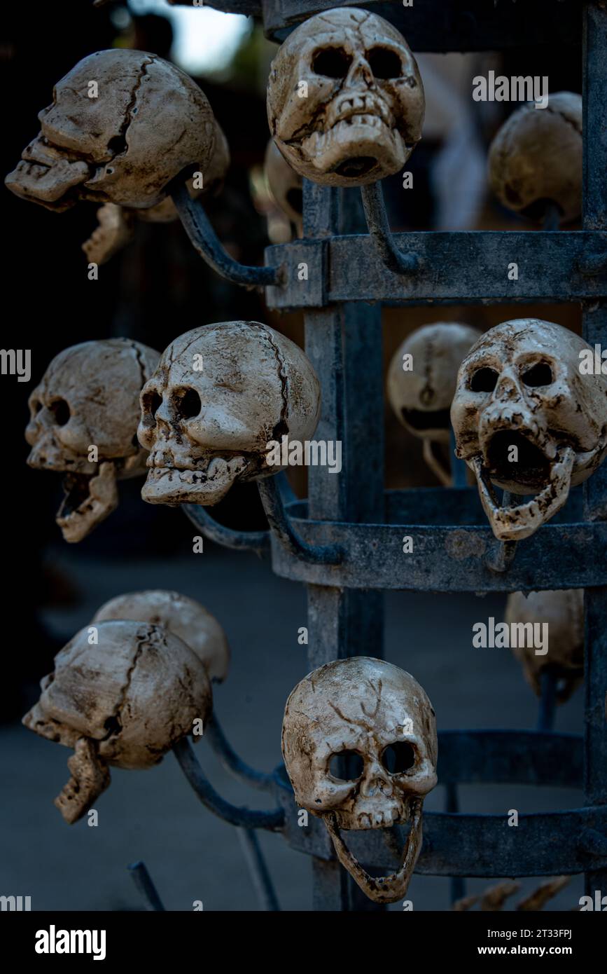 fake human skulls hanging on hooks , halloween ,horror . Stock Photo