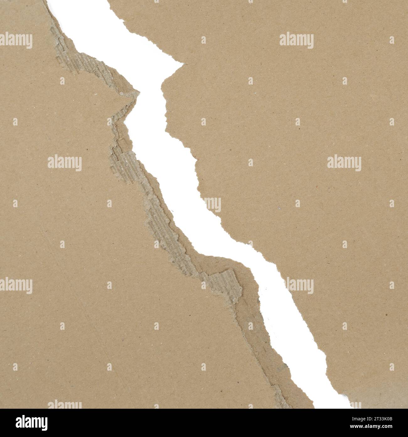 a piece of torn cardboard on a transparent surface Stock Photo - Alamy