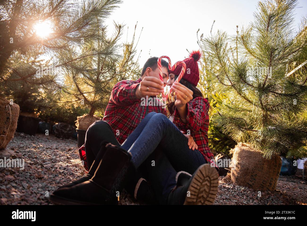 Red white candy cane is held in outstretched hands of loving couple in checkered shirts, knitted hats near green market of Christmas trees. Happy man Stock Photo