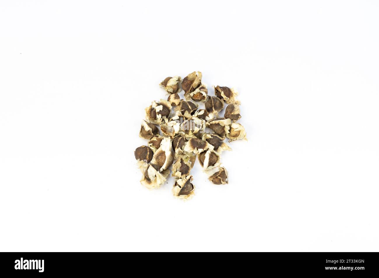 Dried moringa seeds on a white isolated background Stock Photo