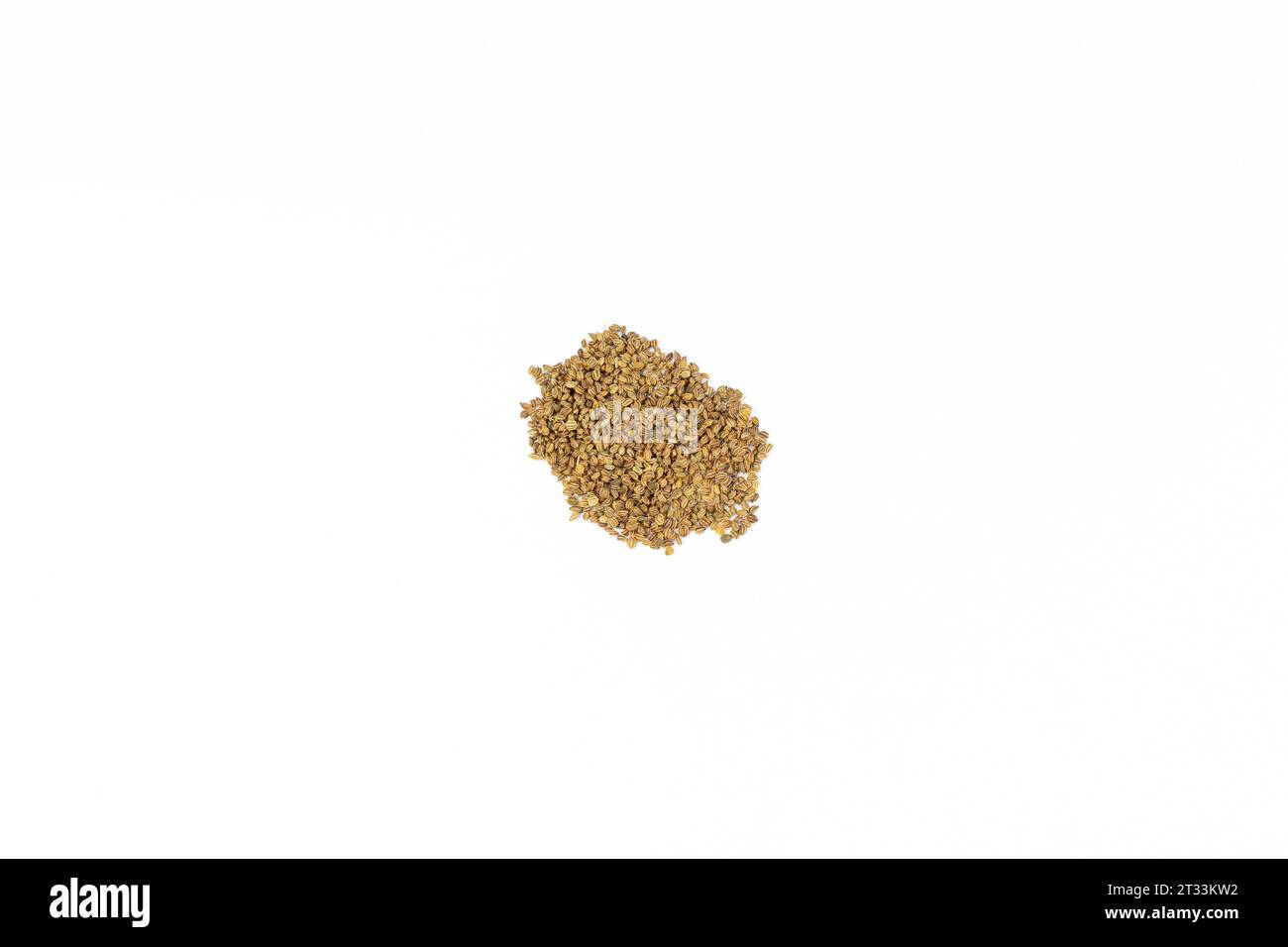 Dried celery seeds isolated on white background Stock Photo