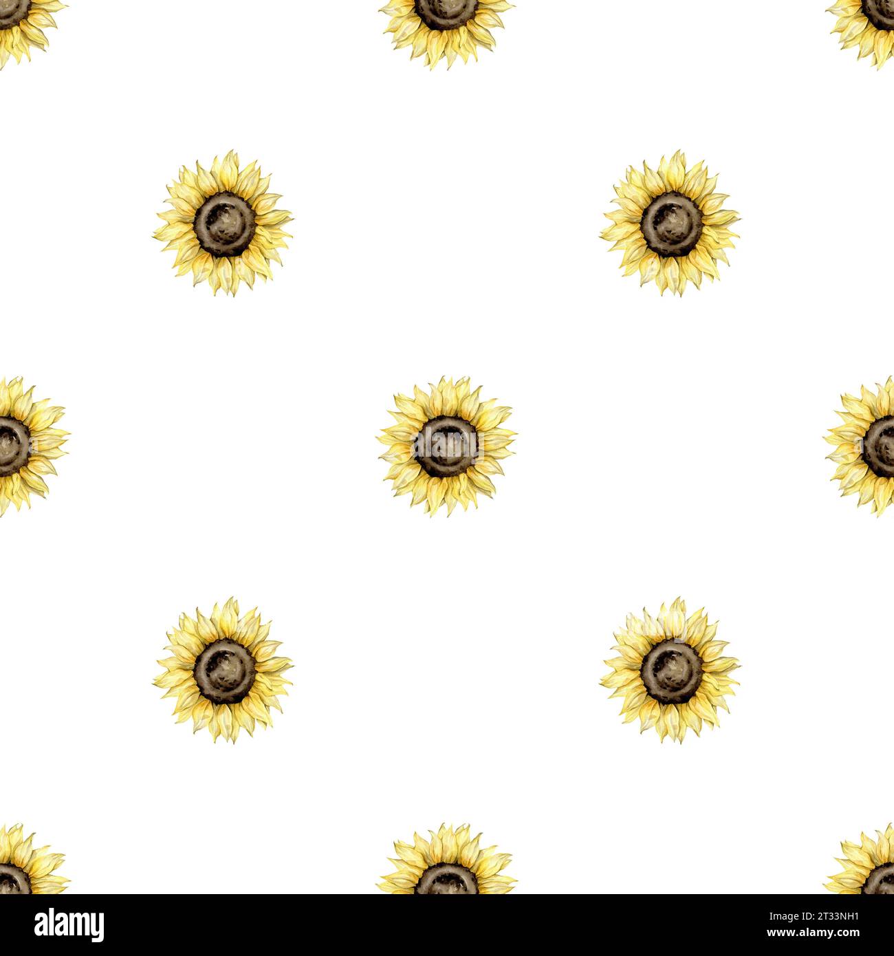 seamless pattern with hand drawn watercolor sunflowers. autumn set Hand ...